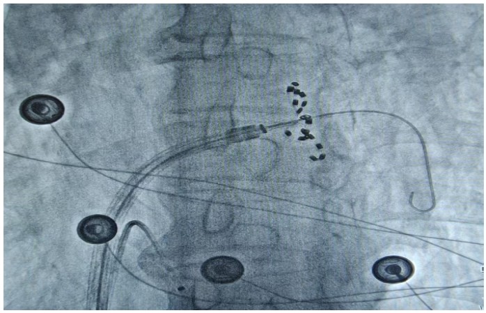 Snipaste_2025-01-26_08-39-22.jpg Snipaste_2025-01-26_08-39-22.jpg